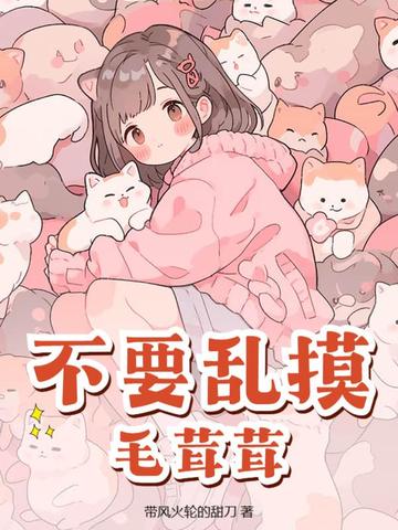 毛茸茸小使